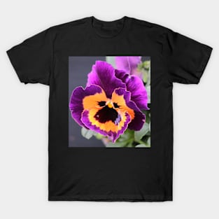 Viola Flower Art T-Shirt